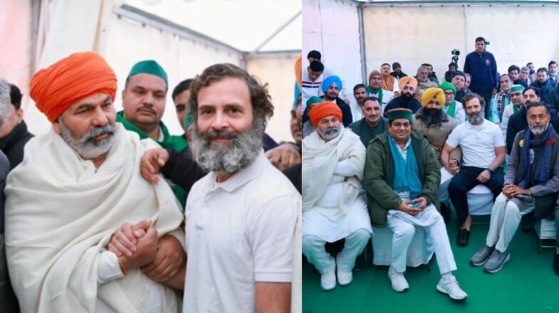 यूपी में इनकार, हरियाणा में भारत जोड़ो यात्रा का हिस्सा बने किसान नेता राकेश टिकैत