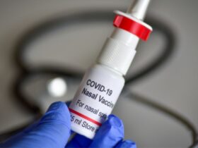 कोरोना से जंग में बड़ा कदम, देश में लॉन्च हुई पहली नाक से देने वाली वैक्सीन, कीमत होगी इतनी?