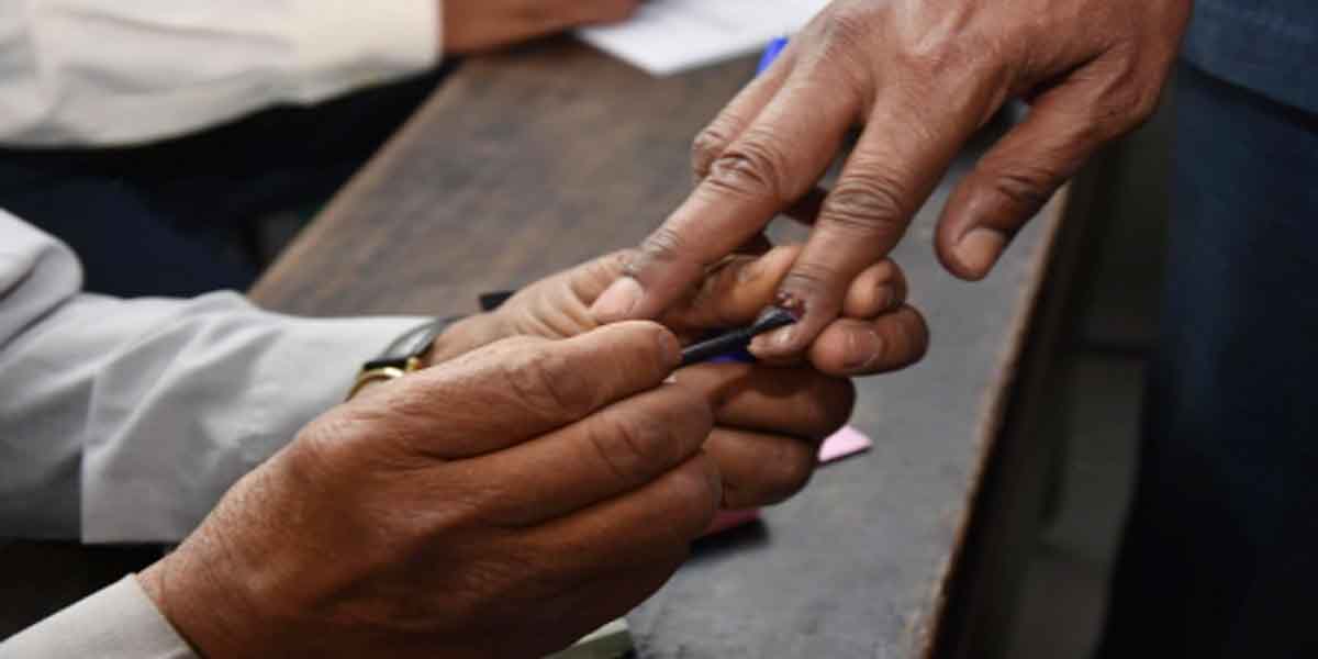 जालंधर उपचुनाव में करीब 50 फीसदी मतदान, आप विधायक गिरफ्तार