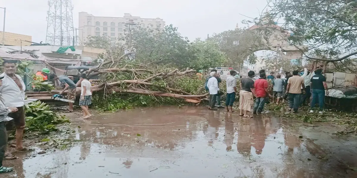 चक्रवात बिपरजॉय ने गुजरात में मचाई भारी तबाही