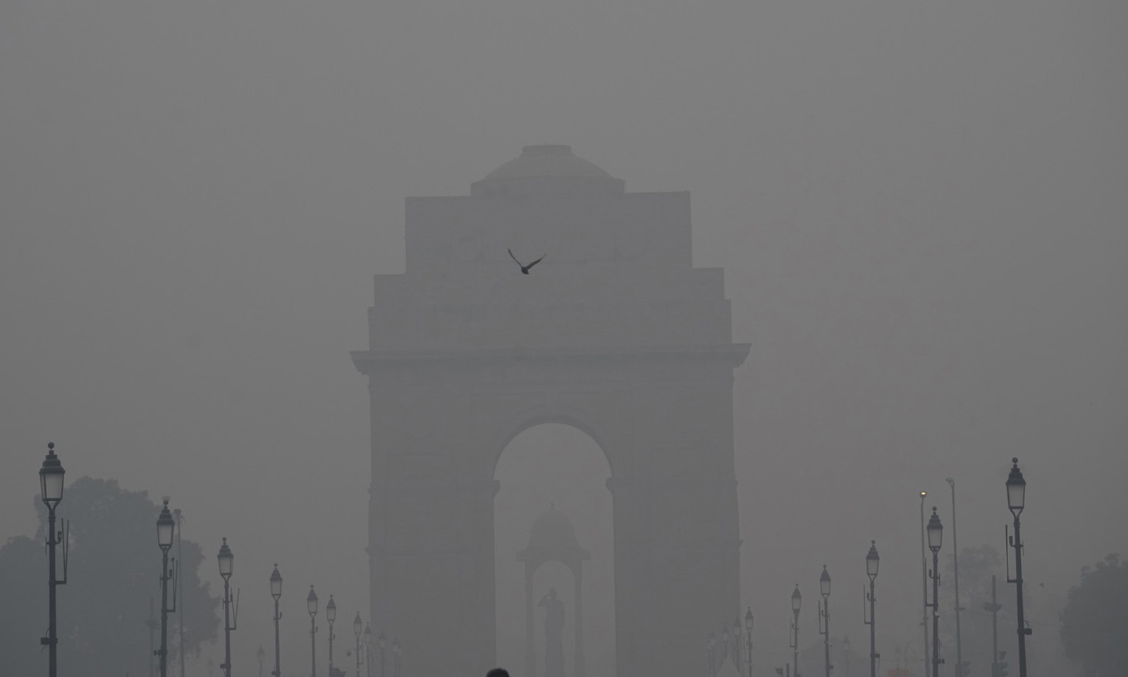 न प्रदूषण की वजह समझी न उपाय सही
