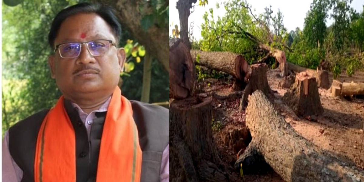 हसदेव अरण्य में पेड़ों की कटाई