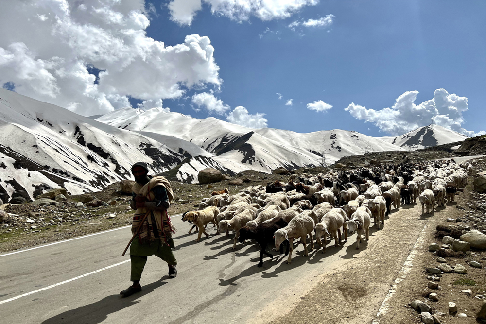 लद्दाख की आवाज सुनें