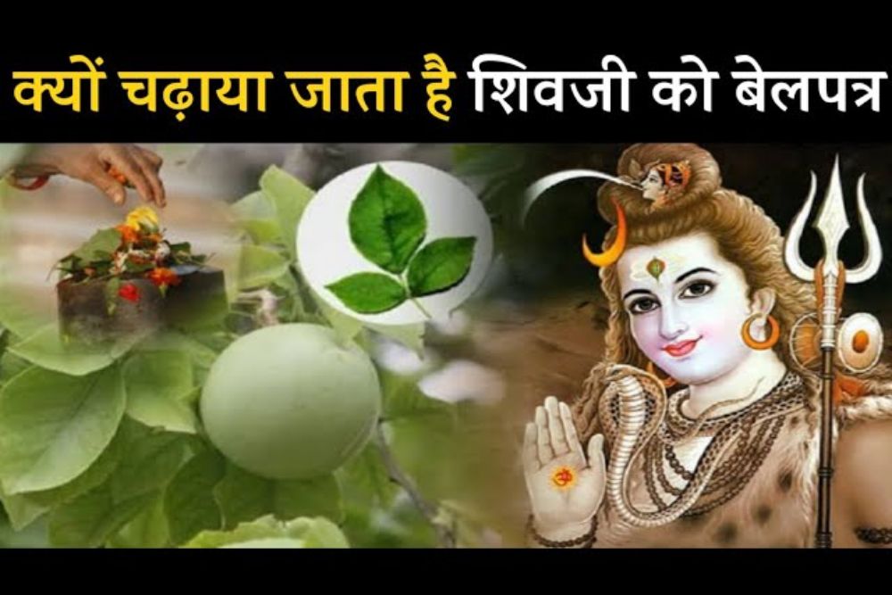 सावन में भगवान शिव को प्रसन्न करना है तो चढ़ाएं ये हरा श्रीफल…जानें इसके फायदें