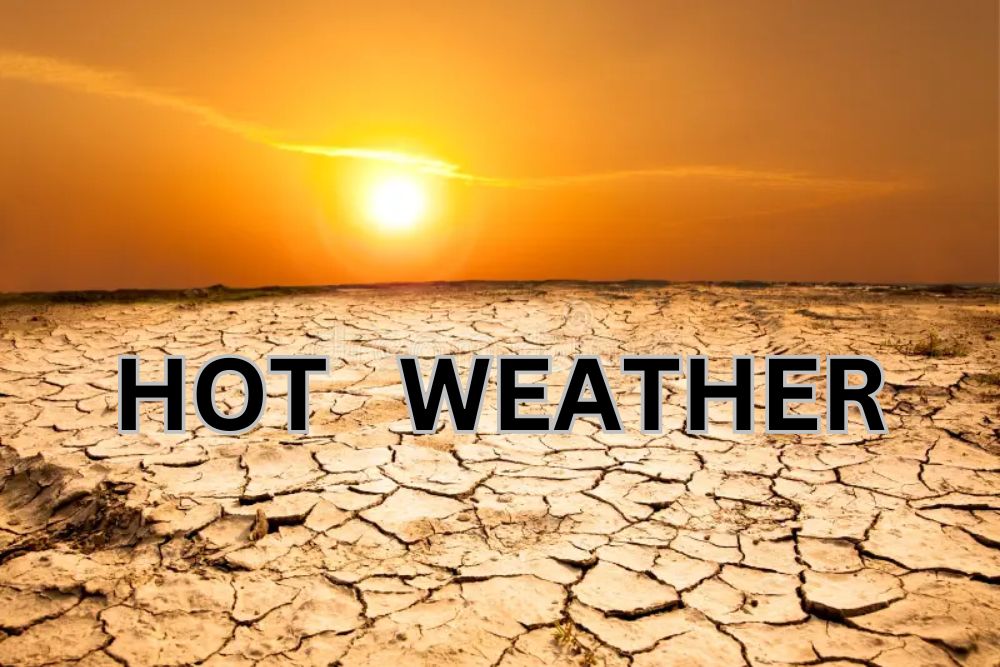 hot weather: मानसून में जुलाई का यह दिन 84 सालों में सबसे गर्म, सारे रिकॉर्ड टूटे…