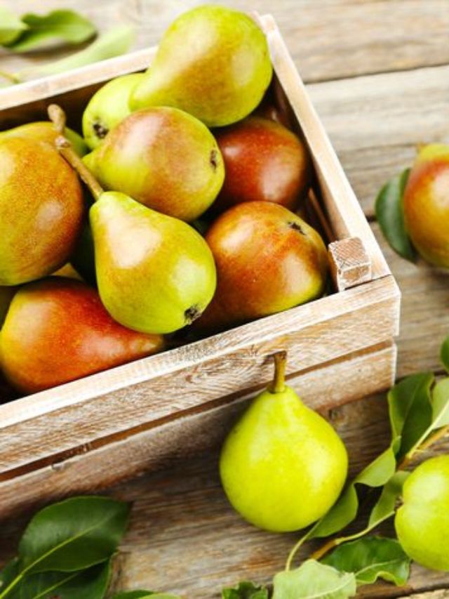 नाशपाती जैसे दिखने वाले फल के गजब फायदे, क्या आपने चखा