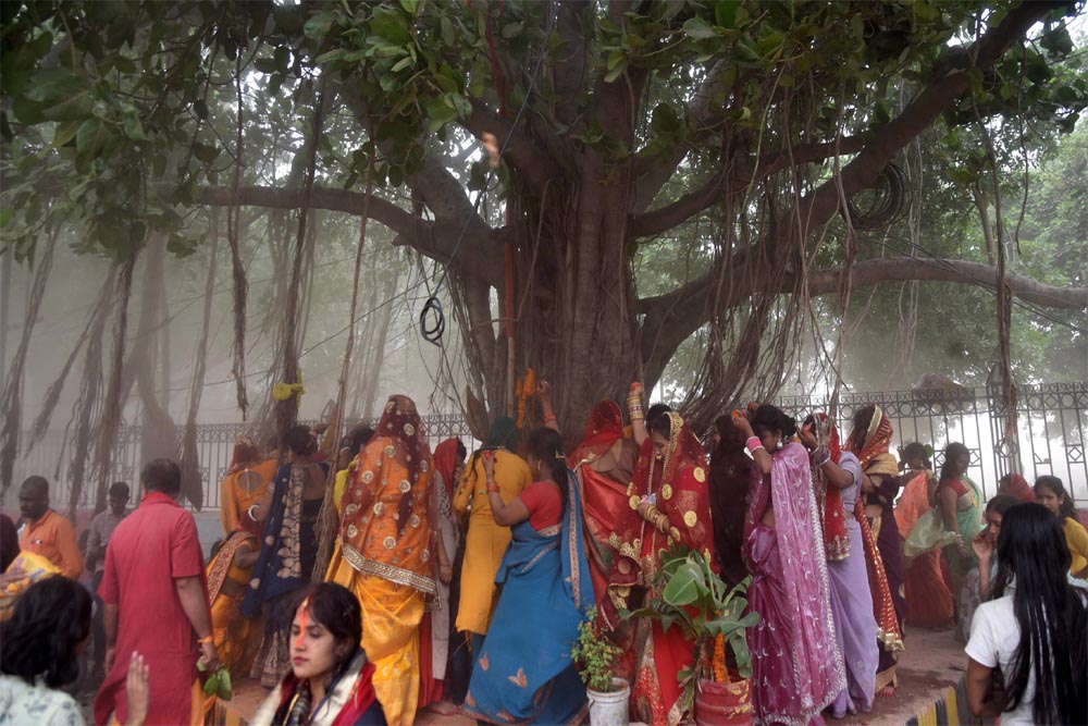 सनातन संस्कृति के संरक्षक है वृक्ष