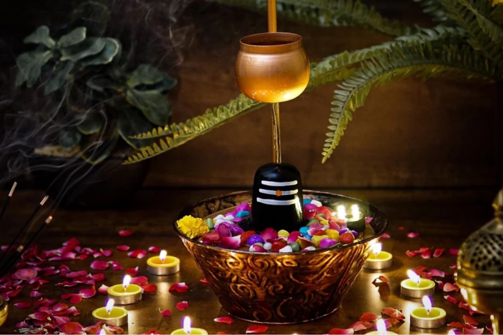 सावन जाने से पहले इन पोधों को जरूर घर में लगाएं, महादेव को है अतिप्रिय
