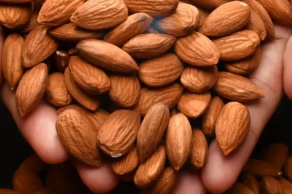 Winter Season में बादाम से करें दोस्ती और पाएं सेहत के कई फायदे