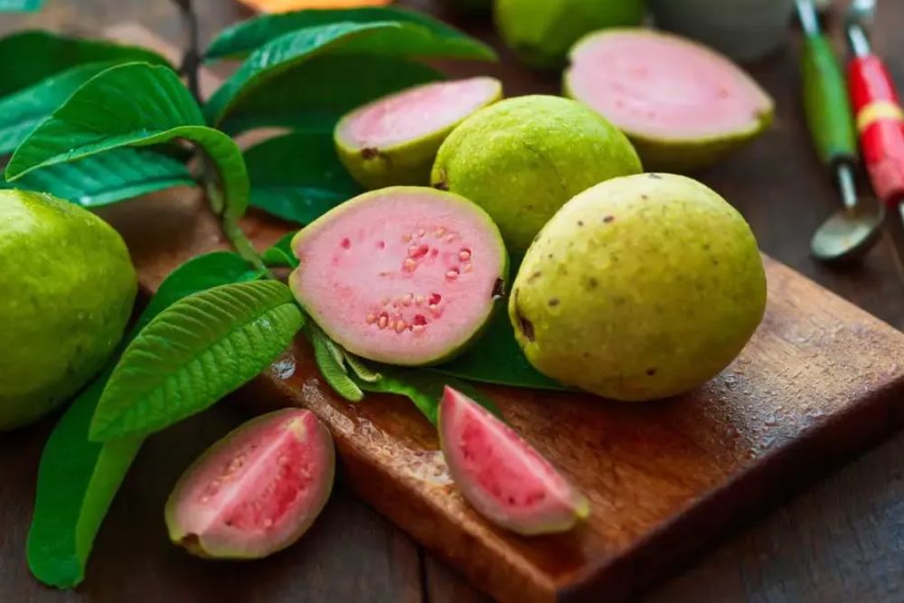 Guava Benefits: खाली पेट अमरूद खाने से मिलते हैं ये 5 फायदे