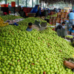 खुदरा महंगाई में मामूली बढ़ोतरी