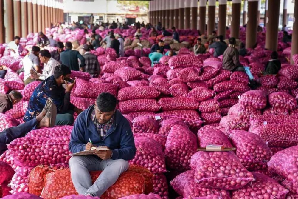 Onion Price