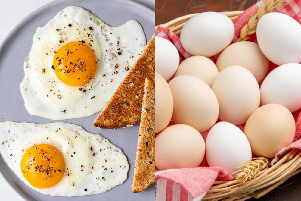 Eggs: सर्दी में शरीर को रखना है गर्म तो रोज खाएं अंडे, जानें एक दिन में कितने खाएं…