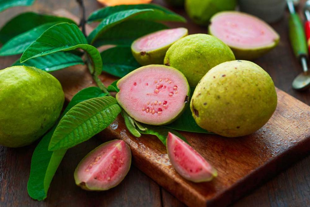 Guava Benefits: सर्दियों में अमरूद खाना है बेहद फायदेमंद, इन बीमारियों से रखता है कोसों दूर