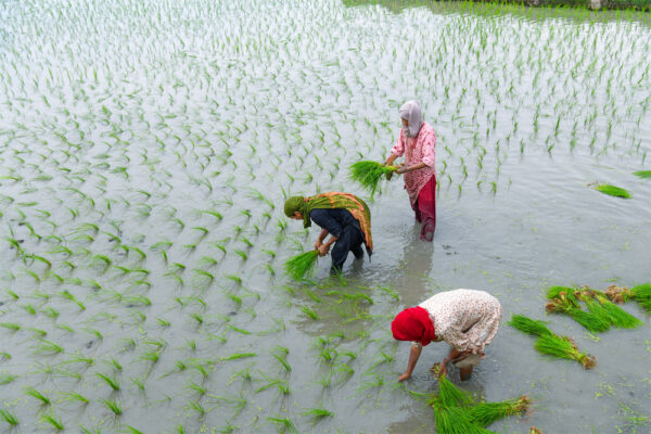 एक उपलब्धि, एक चुनौती