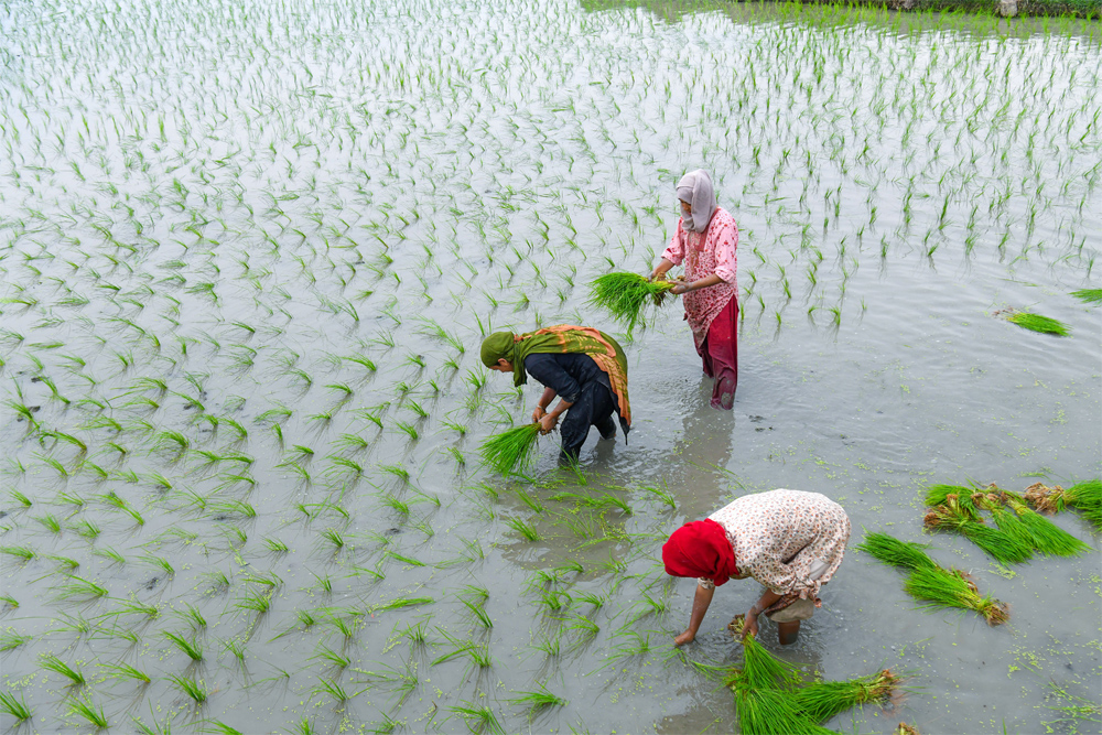 एक उपलब्धि, एक चुनौती