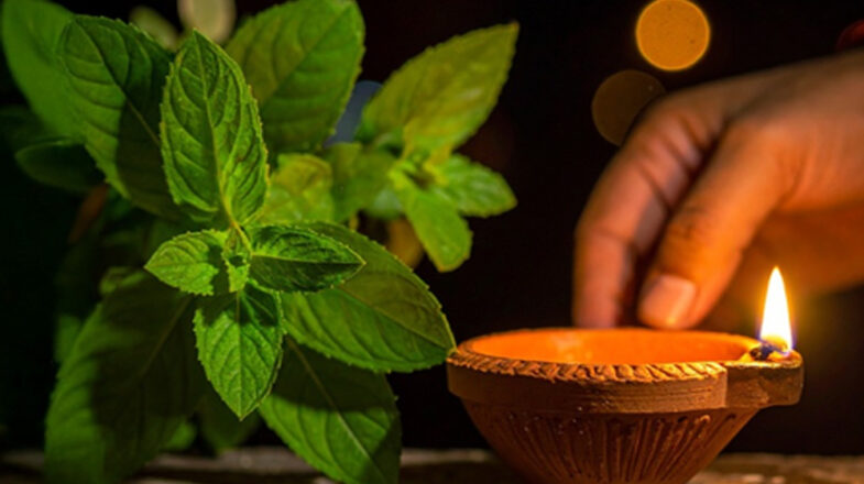 धर्म और सेहत का है कार्तिक मास से कनेक्शन, आयुर्वेद में लिखी है महिमा