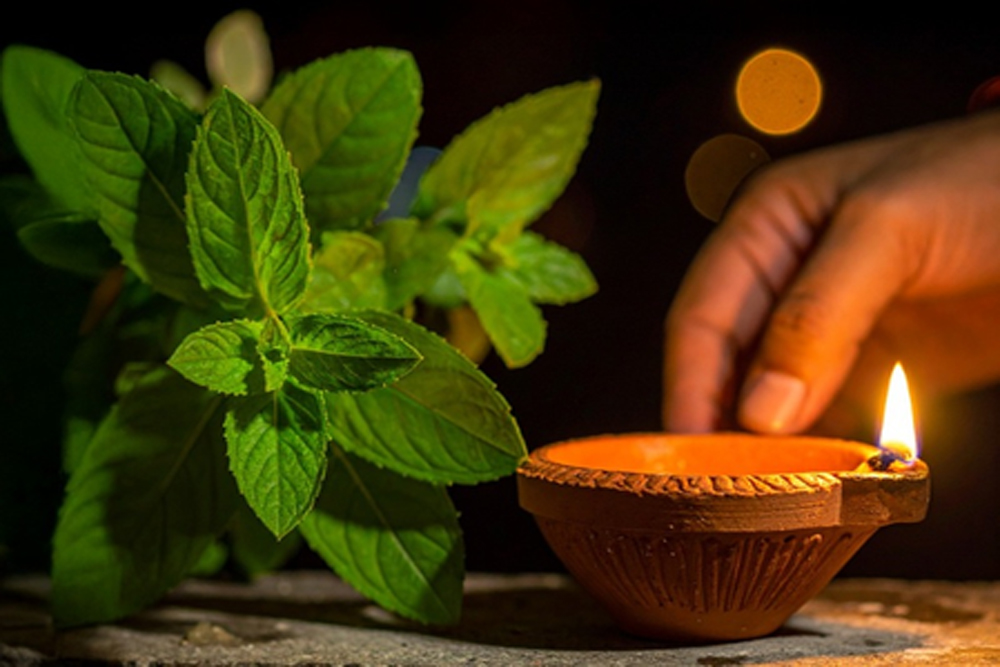 धर्म और सेहत का है कार्तिक मास से कनेक्शन, आयुर्वेद में लिखी है महिमा