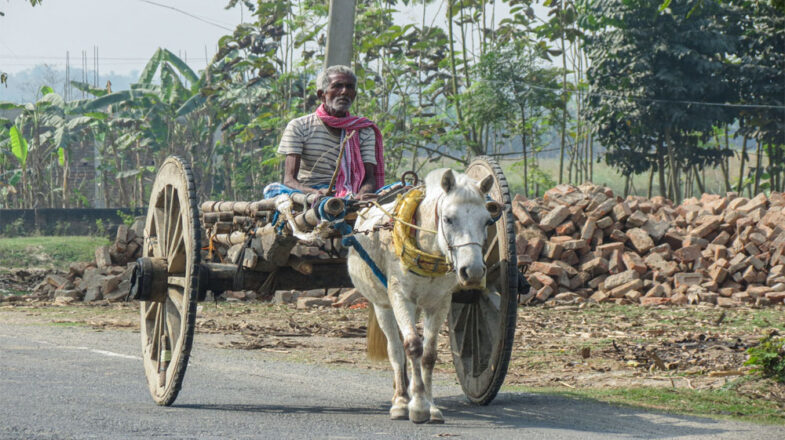 लिस्ट में सबसे नीचे