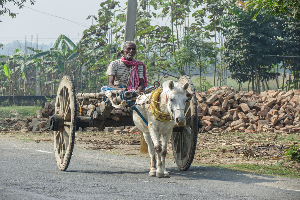 लिस्ट में सबसे नीचे