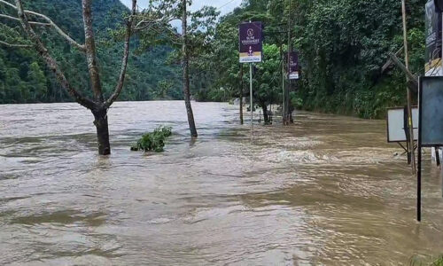 नेपाल में 50 से ज्यादा मौत