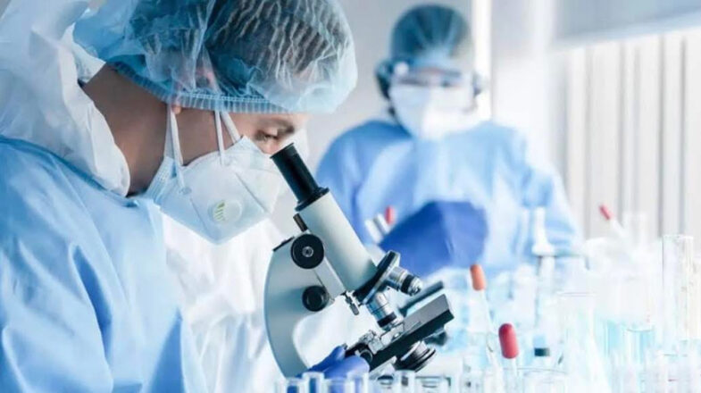 इजरायली वैज्ञानिकों ने खोजे ऐसे खास इम्यून सेल, जो उम्र बढ़ने की रफ्तार को धीमा कर देते हैं