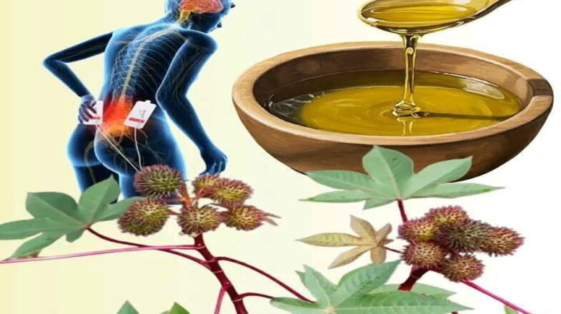 सर्दी से जकड़ रहा है शरीर तो अरंडी का तेल देगा जबरदस्त राहत