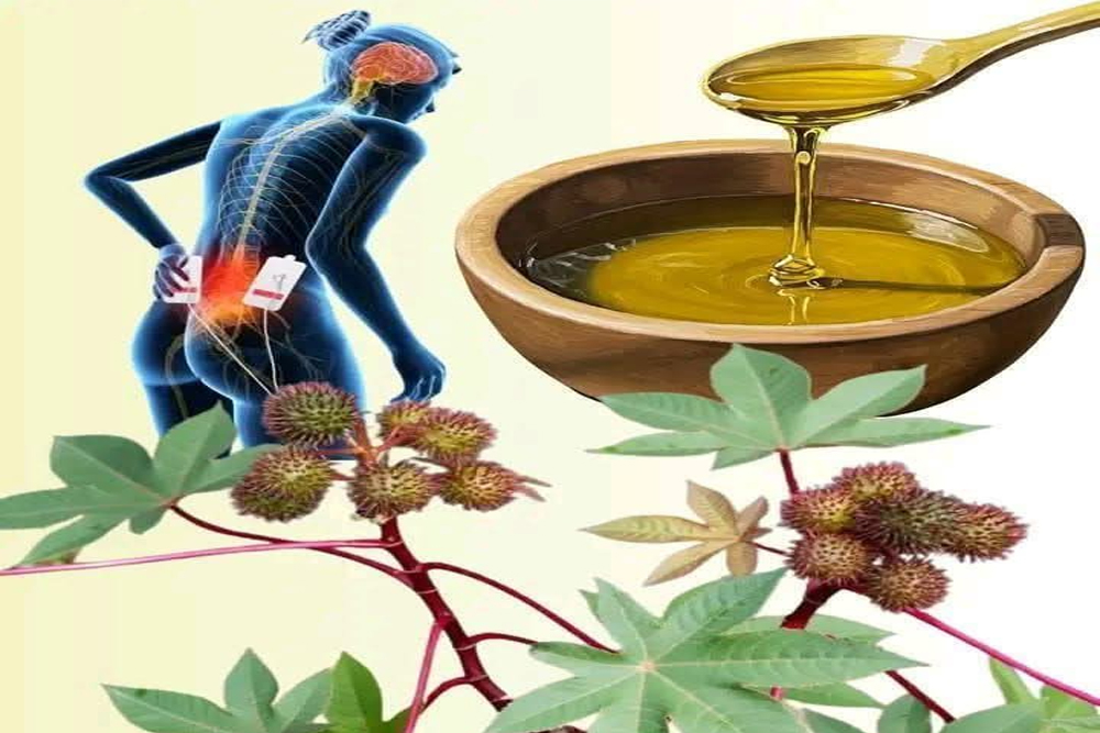 सर्दी से जकड़ रहा है शरीर तो अरंडी का तेल देगा जबरदस्त राहत