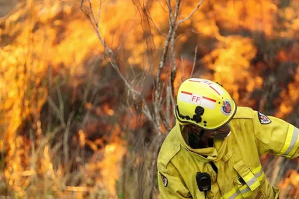 ऑस्ट्रेलिया में जंगल की आग ने मचाया तांडव