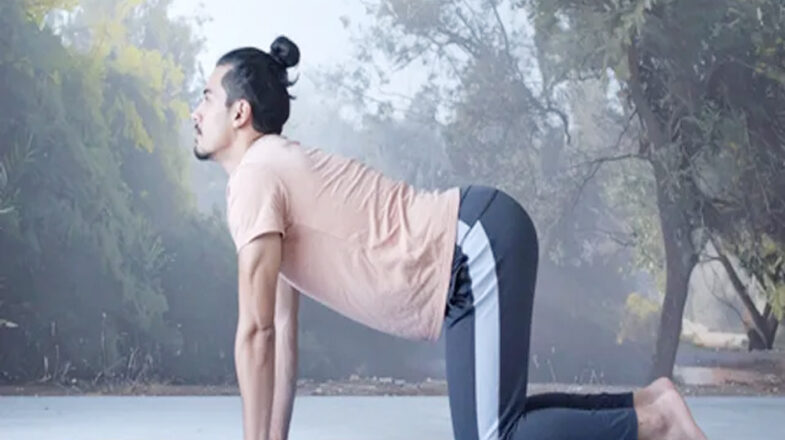 डेस्क जॉब वालों के लिए वरदान है ‘मार्जरी आसन’