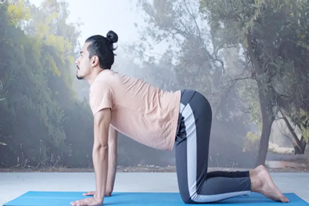 डेस्क जॉब वालों के लिए वरदान है ‘मार्जरी आसन’