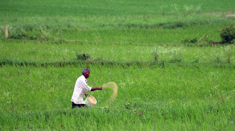 गहराता हुआ उर्वरक संकट