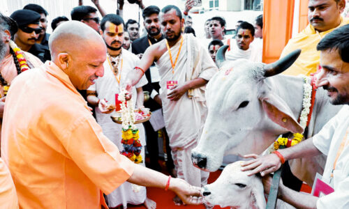 योगी सरकार में बढ़ा 40 फीसदी दुग्ध उत्पादन, देश में यूपी नंबर वन