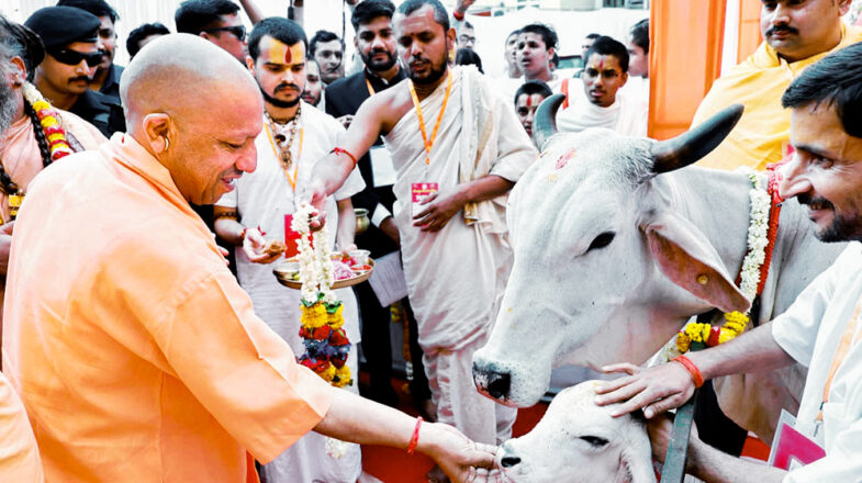 योगी सरकार में बढ़ा 40 फीसदी दुग्ध उत्पादन, देश में यूपी नंबर वन