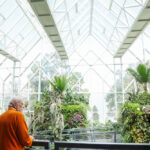 पीएम मोदी ने शेयर की सिक्किम राज्योत्सव की झलकियां