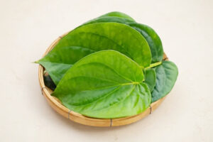 पान का पत्ता बढ़ते यूरिक एसिड को कंट्रोल करने में मददगार