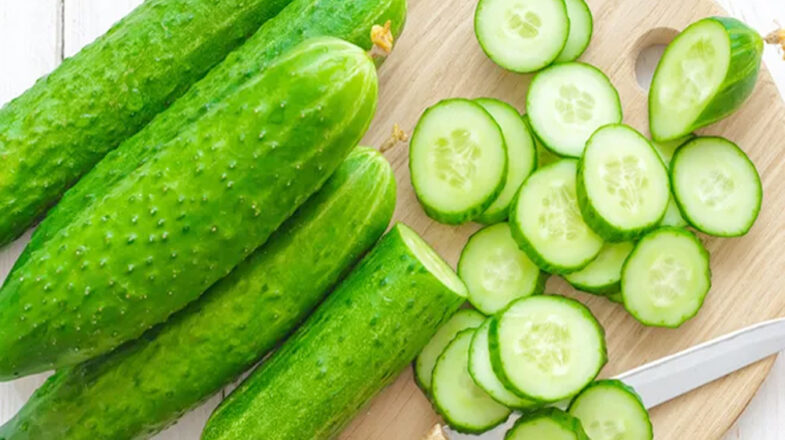 सेहत का पावरहाउस है खीरा, चेहरे से लेकर पेट के लिए लाभकारी