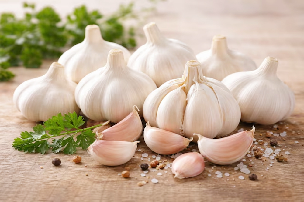 स्वाद ही नहीं सेहत के लिए लाजवाब है लहसुन, आयुर्वेद के जानिए फायदे