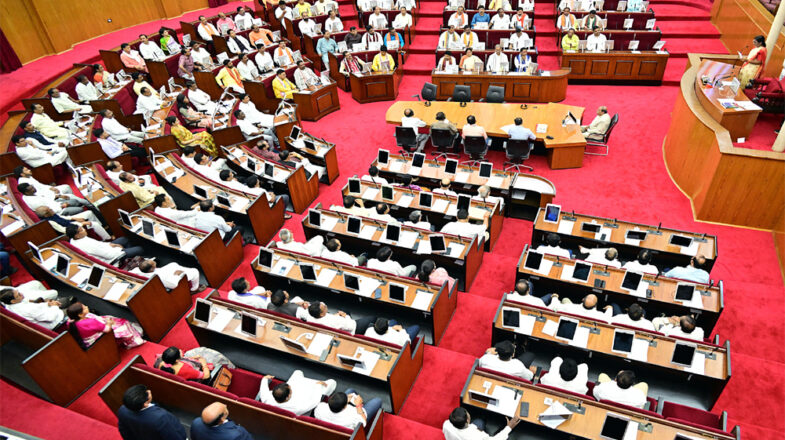 विधानसभाओं का आकार बढ़ाना होगा