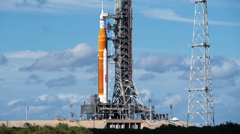 हम इंसानों का जवाब नहीं!