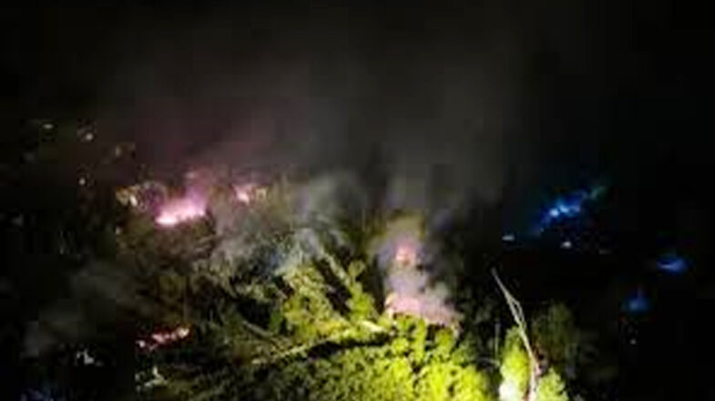 चीन के बड़े पटाखा प्लांट में भीषण धमाका, 21 लोगों की मौत और 61 घायल