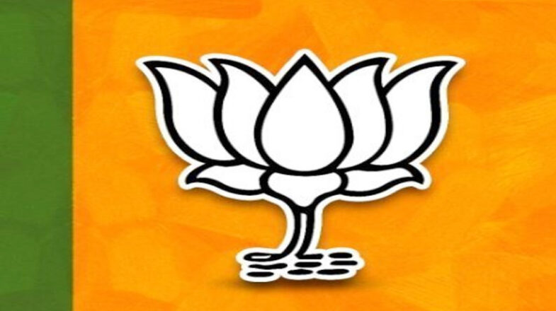 भाजपा ने मध्य प्रदेश में राज्यसभा के लिए तीसरा उम्मीदवार उतारा
