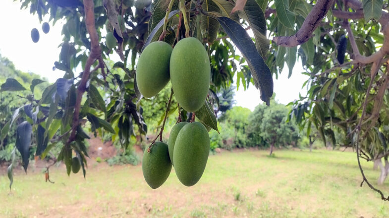 अंदर झांकने की जरूरत